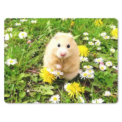Produktbild von MuchoWow® Mauspad Mousepad Hamster zwischen Blumen 40x30 cm - Mousepads - Maus Mat - Pad - Mausunterlage - Anti Rutsch