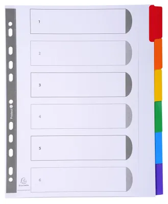 Immagine prodotto di Exacompta 4306E Registri 6 linguette Manila DIN A4