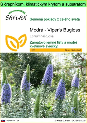 Obrázok produktu pre SAFLAX Garden to go - Modrá - Viper's Bugloss - Echium fastuosa - 100 Semená - S črepníkom, klimatickým vekom a pestovateľským substrátom