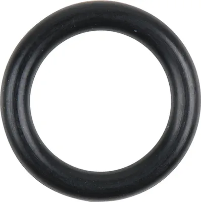 Obrázek produktu pro KS TOOLS O-kroužek - 515.3101-R041P