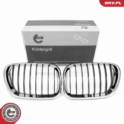 Immagine prodotto di ESEN SKV 66SKV273 Griglia anteriore per BMW X5 (E53) cromata/nera