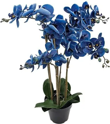 Produktbild von Warentuin Producten