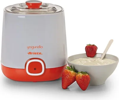 A yogurt maker with strawberries and a bowl of yogurt.