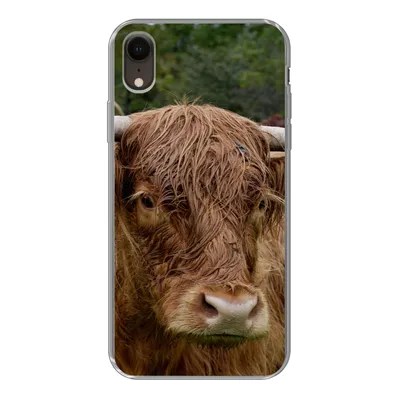 Produktbild von MuchoWow® Handyhülle Schutzhülle Hülle für iPhone XR Schottische Highlander - Tiere - Gras Silikon Softcase Handy Hülle - Schutzdeckel