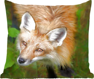 Produktbild von MuchoWow® Zierkissen Sofakissen Wohnzimmer Dekokissen 60x60 cm Fuchs - Grün - Orange - Sitzfläche - Foto Polster