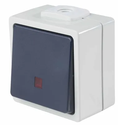 Immagine prodotto di as-Schwabe 62453 Pulsante illuminato (contatto normalmente aperto), 2 ingressi cavi IP 54