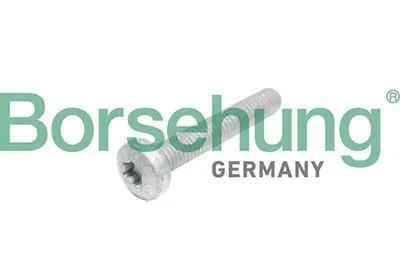 Produktbild von Borsehung Zylinderkopfschraube B10645 für VW Golf VII Schrägheck (5G1, BQ1, BE1, BE2)