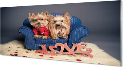 Produktbild von Glasbilder 125x50 Wandkunst Yorkie