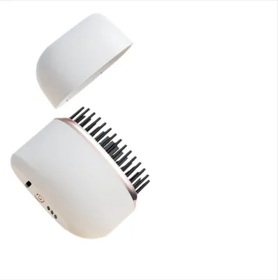 Image de INF Brosse Lissante Chauffante Sans Fil Rechargeable - 3 Températures