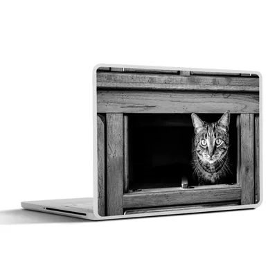 Produktbild von MuchoWow® Laptop Aufkleber Sticker Cover Katze kommt aus dem Schrank 30x21 cm - Sticker für Laptop - Selbstklebend