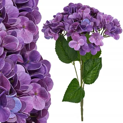 Produktbild von Topoblu Premium Künstliche Hortensie Lila 42cm Wie Echt