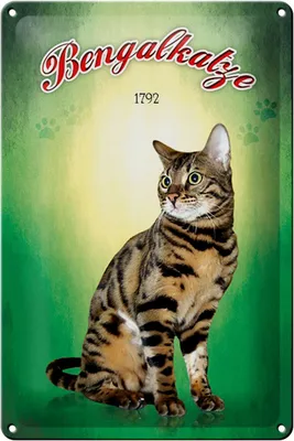 Produktbild von Blechschild Katze 20x30cm Bengalkatze 1792 Wanddeko