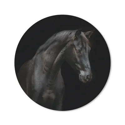 Produktbild von MuchoWow® Mauspad Mousepad Pferd - Tiere - Schwarz - Porträt 20x20 cm - Mousepads - Maus Mat - Pad - Mausunterlage - Schreibtischmatte