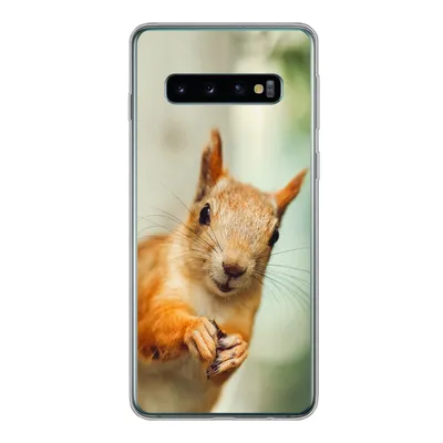 Produktbild von MuchoWow® Handyhülle Schutzhülle Hülle für Samsung Galaxy S10 Eichhörnchen - Lustig - Nuss - Kinder - Jungen - Mädchen - Kind Silikon Softcase Handy Hülle - Handytasche