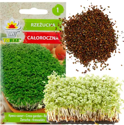 Zdjęcie produktu dla W1190 Rzeżucha Nasiona Rzeżuchy Całoroczna Nasiona Na Kiełki Warzyw 10G