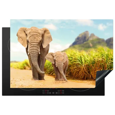 Produktbild von KitchenYeah© Herdabdeckplatte Elefanten - Tiere - Natur , 77x51cm, Küche Deko, Glaskeramikkochfeld Herdabdeckung, Abdeckplatte fùr Kochfeld