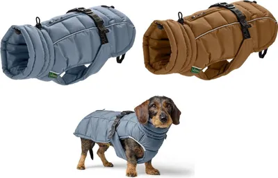 Hunter Hundemantel Paxson Dachshund