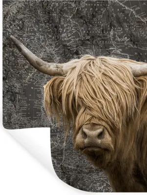 Produktbild von MuchoWow® Wandtattoo Wandsticker Wandaufkleber Schottischer Highlander - Weltkarte - Tiere 60x80 cm Selbstklebend und Repositionierbar - Repositionierbar - Wasser abweisend