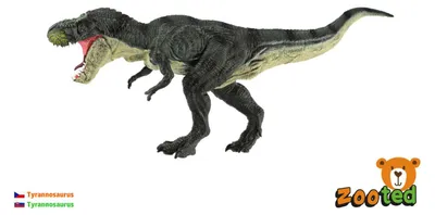 Obrázek produktu pro Tyrannosaurus zooted plast 31cm