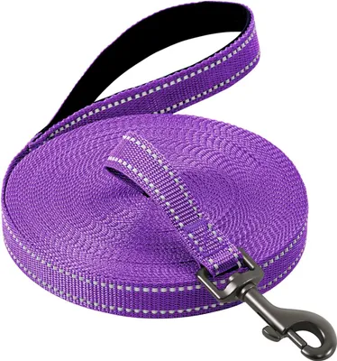 Produktbild von Famanu Hundeleine 10 Meter - Mit Gepolstertem Handgriff und Handgelenkband, Trainingsleine für kleine bis große Hunde - Lila