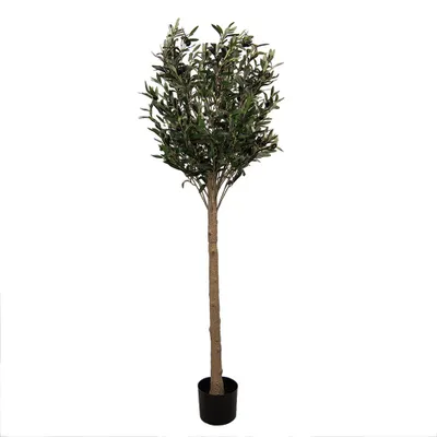 Obrázek produktu pro Clayre & Eef Umělý olivovník 165 cm zelený plastový