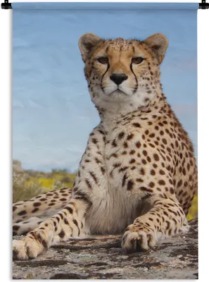 Produktbild von MuchoWow® Wandteppich Wandbehang Leopard - Tiere - Natur 60x90 cm Tapisserie Dekoration Wandtuch - Foto-Teppich - Abwaschbar