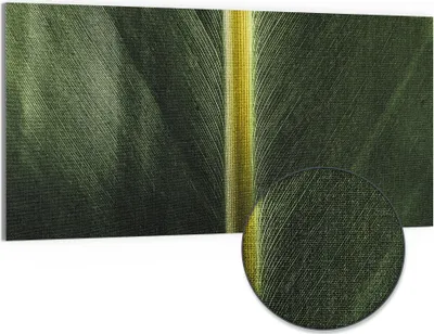 Produktbild von DEQORI Hybrid Leinwand Bild 100x50 cm 'Grüne Blattader' Wandbild Glas flach modern