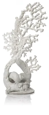 Produktbild von biOrb Fächerkorallen Ornament weiß
