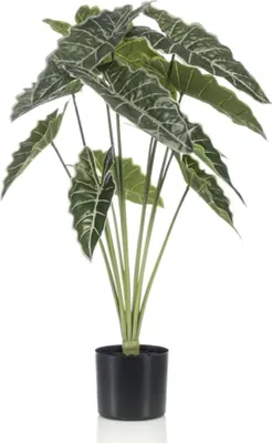 Productafbeelding van Alocasia kunstplant 80cm Tropischer Blickfang in groen keramische pot binnen