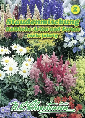 Produktbild von Staude halbhohe Mischung | Blumensamenmischung von N.L. Chrestensen