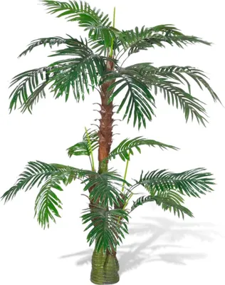 Obrázok produktu pre The Living Store Umelá rastlina Cycas Palm 150 cm