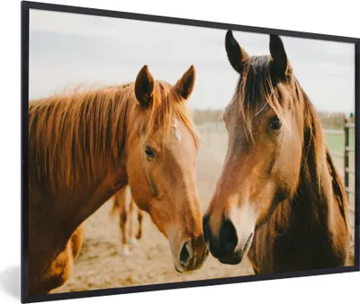 Produktbild von MuchoWow® Gerahmtes Poster Pferd - Strand - Tiere 90x60 cm - Poster mit Schwarzem Bilderrahmen Wandposter Rahmen Foto Bilder - Fotorahmen - Foto-Plakat