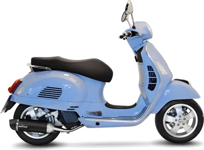 Image de LeoVince 14069 Slip-On noir pour VESPA GTS 150 i.e