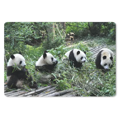 Produktbild von MuchoWow® Mauspad Mousepad Panda - Natur - Bambus 27x18 cm - Mousepads - Maus Mat - Pad - Mausunterlage - Büroartikel - Desk Matten