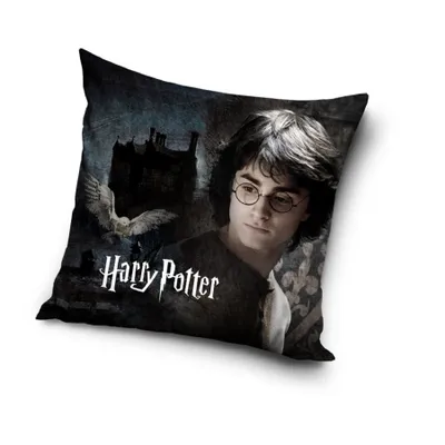 Immagine prodotto di Fodera per cuscino Harry Potter 40 x 40 cm