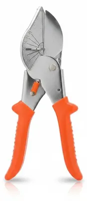 Imagen del producto de JL Cuisine - Eckenschere - 15 x 5 cm - Acero #45, Imagen generada por IA