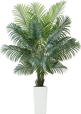 Obrázok produktu pre 1829 mm Umelá palma Areca v kvetináči pre domácu kanceláriu