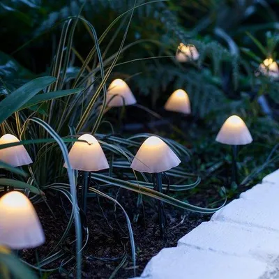 Immagine prodotto di Set di luci solari con 12 LED per esterni e giardino, grado di protezione IP44 (resistente all'acqua), ideale per patio e giardino - Classe energetica A++