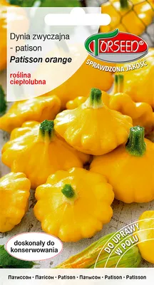 Produktbild von Samen des Gewöhnlichen Kürbisses - Torsaat