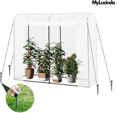 Produktbild von Famanu Gewächshaus Folie – Kweekkas für alle Jahreszeiten – 170x68x200 cm – Gewächshaus mit Tür und 2 Fenstern – Weiß