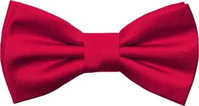 Produktbild von Ladeheid Kinder Krawatte für Jungen - Eleganter matter Look TKM (31cmx4cm)