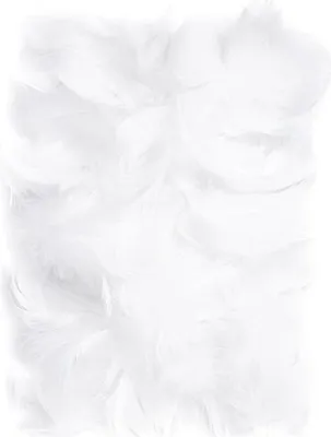 Zdjęcie produktu dla Piórka białe 5-12cm 10g