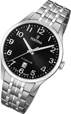 Produktbild von Festina Herren Uhr Klassik F20466/3 Titan Analog Armband-Uhr silber UF20466/3