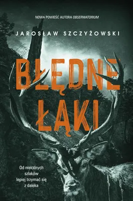 Produktbild von Błędne łąki