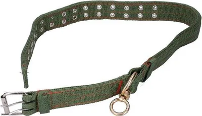 Image de Collier pour animal à longueur réglable