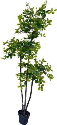 Produktbild von Künstlicher Olivenbaum 180 cm - Kunstseidenbaum mit Naturholzstamm - UV-beständige Kunstpflanze im Topf für Innenraum