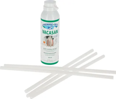 Produktbild von Vagizan = Vacasan Pflegeschaum 200ml incl. 5 Kanülen