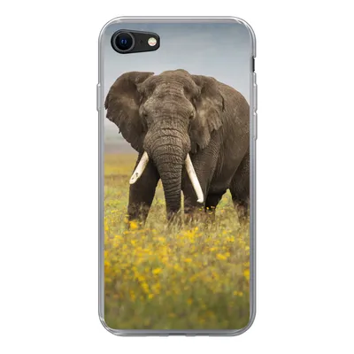 Produktbild von MuchoWow® Handyhülle Schutzhülle Hülle für iPhone 8 Elefant - Blumen - Gras - Tiere - Natur Silikon Softcase Handy Hülle - Schutzhaube