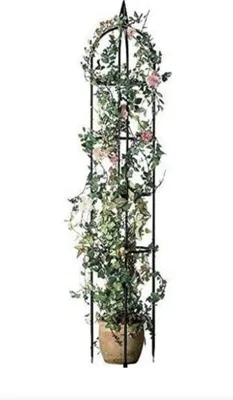 Immagine prodotto di ABC Home supporto per arrampicata Obelisco 240 cm H