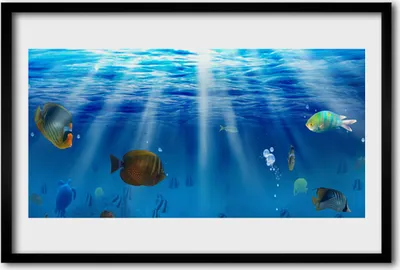 Produktbild von Bild 60x40 MDF-Rahmen Wandkunst Fisch Natur